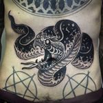 Snake Tattoo by Alessandro Micci #snake #blackworksnake #blackwork #blackworkartist #blackink #blackworker #AlessandroMicci
