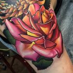Yellow and pink rose simply glowing, by Aaron Springs (via IG—aaron_springs) #neotraditional #colorwork #floral #flowers #AaronSprings