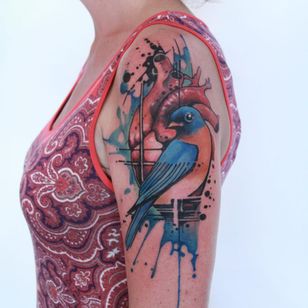 Un hermoso pájaro azul de Gene Coffey.  (Vía IG - mrcoffeybean)