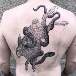 Snake gets rabbit. Tattoo by Jack Ankersen #jackankersen #snaketattoos #blackandgrey #illustrative #rabbit #bunny #snake #reptile #animal #nature #death #fight