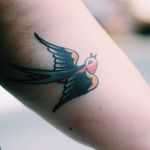 Traditional swallow tattoo by Tim Klamer from Le Fix City Tattoo, done at Tattoodo #swallow #traditional #traditionalswallow #bird #traditionalbird #StreetStyle #TattooStreetStyle #trailerparkfestival #timklamer #lefixcitytattoo