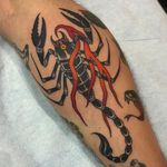 Scorpion Tattoo by Drake Sheehan #scorpion #traditional #traditionalartist #oldschool #boldwillhold #DrakeSheehan