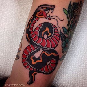 Tatuaje de serpiente por Tony Talbert #TraditionalTattoos #OldSchoolTattoos #ClassicTattoos #TraditionalTattoo #TraditionalArtists #TonyTalbert