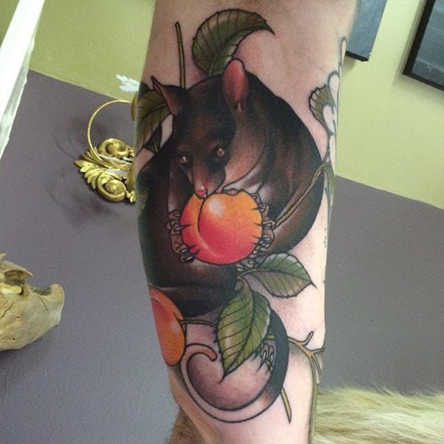 Possum disfruta de la fruta dulce.  Tatuaje de Jasmin Austin.  #fruta #possum #neotraditional #JasminAustin