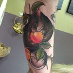 Possum enjoying some sweet fruit. Tattoo by Jasmin Austin. #fruit #possum #neotraditional #JasminAustin