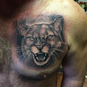 Cougar tattoo by Stephen McConnell. #realism #blackandgrey #StephenMcConnell #bigcat #cougar