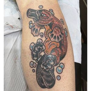 Bold, traditional style platypus tattoo by Franz Stefanik. #platypus #monotreme #australiananimal #FranzStefanik #traditional #color