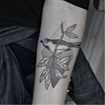 Bird tattoo by Yara Floresta #YaraFloresta #monochrome #blackwork #dotwork #linework #bird
