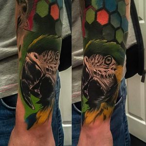 Vibrant and clean parrot tattoo done by Craig Cardwell. #CraigCardwell #realistic #painterly #parrot #animaltattoo