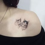 Sweet detailed cats portrait #cat #cattoo #tattooistdoy #doy #southkorea