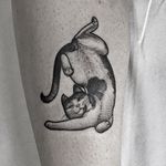 Cat Tattoo by Luca Cospito #cat #blackwork #blackworkartist #blackink #darkart #darkartist #spanishartist #LucaCospito #blackworkcat #animal