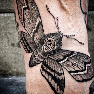 Tatuaje de polilla por Tim Beijsens #moth #mothtattoo #blackwork #blackworktattoo #blackworktattoos #dark #darktattoo #darktattoos #blackink #blackinktattoo #blackworkartist #TimBeijsens