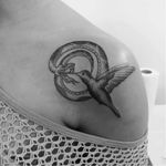 #cobra #snake #beijaflor #hummingbird #JuliaOliveira #TatuadorasDoBrasil #TalentoNacional #blackwoek #pontilhismo #dotwork #brasil