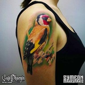 Goldfinch by Symeon Makrynakis (via IG -- symeon.mak_tattoo) #SymeonMakrynakis #bird #birdtattoo #goldfinch #goldfinchtattoo
