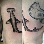 A hammerhead shark from Rebecca Vincent's body of work (IG-rebecca_vincent_tattoo). #blackwork #hammerheadshark #illustrative #RebeccaVincent
