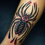 Clean and amazing spider tattoo by Giacomo Fiammenghi. #giacomofiammenghi #traditionaltattoo #spider #coloredtattoo #neotraditional
