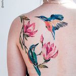 Humming Birds and Blooms by Sasha Marsh (via IG-sasha_rdrvn) #tattooartist #artist #watercolor #color #flowers #birds #hummingbirds #SashaMarsh