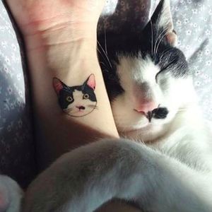 Gatíneo abraçado com sua tattoo feita por Sol Tattoo! #Soltattoo #cat #cattattoo #gato #gatotattoo