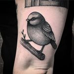 Bird Tattoo by Will Pacheco #bird #birdtattoo #blackwork #blackworktattoo #blackworktattoos #blackink #blackinktattoo #blackworkartist #WillPacheco