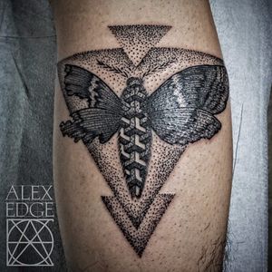 Dotwork Moth Tattoo by Alex Edge #dotowrkmoth #moth #dotwork #AlexEdge