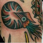 Nautilus Tattoo by Tony Silva #nautilus #nauilustattoo #nautilustattoos #traditionalnautilus #seacreature #seacreaturetattoos #traditionaltattoo #traditional #oldschool #TonySilva