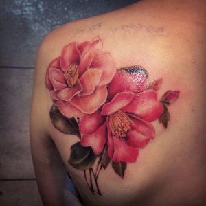 Color realism camellias by ZS tattoo. #realism #colorrealism #flower #camellia #zstattoo