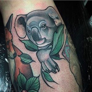 Cute Koala Filler Tattoo by Joel Blake @Joel_p_Blake #JoelBlakeTattoo #Cute #KoalaTattoo #Koala