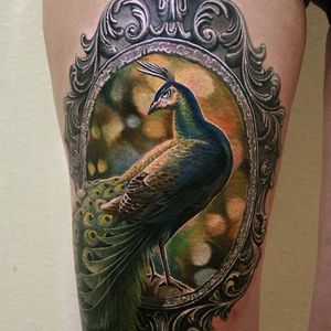 Peacock perched in an intricate frame via @yan_vilks #YanVilks #realism #realistic #peacock #frame