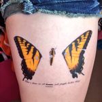Paramore tattoo of puncturedw1ngs on Tumblr. #paramore #band #music #lyrics #butterfly