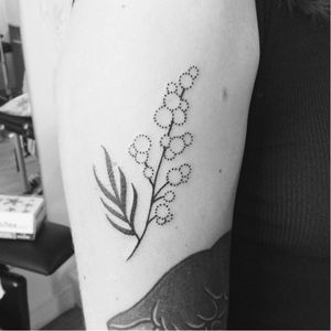 Mimosa tattoo by Armelle Stb #ArmelleStb #flower #blackwork #blckwrk #engraving #mimosa