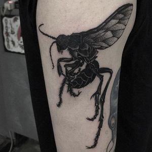 Wasp Tattoo by Aru Tattoo #wasp #insect #bug #blackworkinsect #blackinsect #creatures #Aru #AruTattoo
