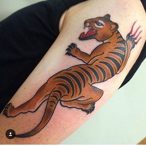 A traditional panther tattoo design replicated as a Tasmanian tiger. Tattoo by Ben O'Grady. #traditional #fauna #Australiananimal #TasmanianTiger #extinct #BenOGrady
