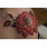 Pink dahlia shoulder tattoo by Nancy Tattooer. #dahlia #flower #neotraditional #NancyTattooer #floral #dahliaflower