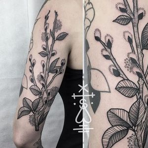 Catkin or pussy willow tattoo by Sarah Herzdame. #catkin #pussywillow #botanical #dotwork #blackwork #blackandgrey #SarahHerzdame