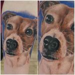 Jack Russell portrait tattoo by Damian Cain. #realism #colorrealism #dog #JackRussell #DamianCain