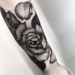 Enveloped by a rose by Kelly Violence #KellyViolence #rose #petal #flower #blackandgrey #blackwork #linework #dotwork #tattoooftheday