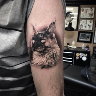 Gorgeous kitty tattoo by Rocky Burley #RockyBurley #petportraittattoo #blackandgrey #realism #realistic #hyperrealism #cat #kitty #pet #animal #cute #portrait #nature #fur #tattoooftheday