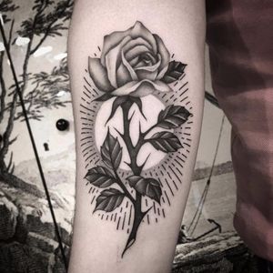 Illuminated rose by Mario Messina #MarioMessina #traditional #oldschool #rose #flower #leaves #sun #thorns #linework #light #nature #blackandgrey #tattoooftheday