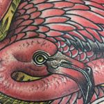 Flamingo by Guen Douglas #GuenDouglas #traditional #color #flamingo #tattoooftheday