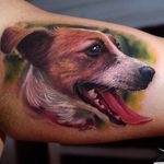 Realistic Jack Russell tattoo by Fahrettin Demir. #realism #colorrealism #dog #JackRussell #FahrettinDemir