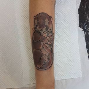 Otter pup by Aimee Bray. #neotraditional #AimeeBray #otter #babyanimal