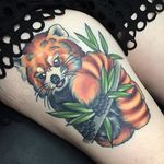 Cheeky red panda tattoo by Eddy Lou. #neotraditional #EddyLou #redpanda #branch