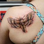 Moth Tattoo by Loreen2l #moth #mothtattoo #watercolormoth #watercolor #watercolortattoo #sketch #sketchtattoo #watercolorsketch #sketchwatercolor #abstractwatercolor #Loreen2L