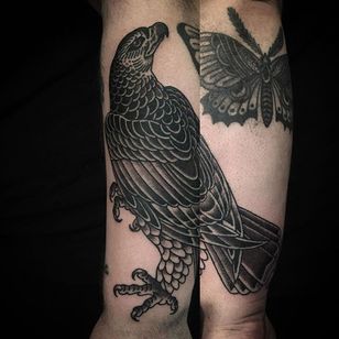 Tatuaje de pájaro por Alex Snelgrove #blackwork #blackink #linework #blacktattoos #AlexSnelgrove #bird