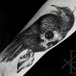 Corvo sinistro #BrunoAlmeida #tatuadoresdobrasil #tatuadoresbrasileiros #tatuadoresbr #blackwork #crow #corvo #skull #cranio