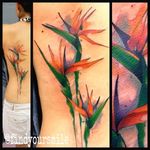Abstract watercolor bird of paradise back tattoo by Russell Van Schaick. #birdofparadise #craneflower #flower #abstract #watercolor #RussellVanSchaick