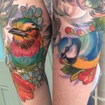 Colorful neo traditional lilac breasted roller bird and blue tit tattoos by Lucy O'Connell. #neotraditional #bird #lilacbreastedrollerbird #bluetit #bluetitbird #LucyO'Connell