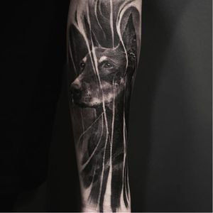 Doberman tattoo by JeongHwi #JeongHwi #blackandgrey #realistic #doberman #dog