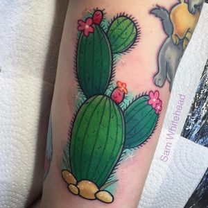 30 lindas tatuagens de cactos  Tatuagem de cacto, Tatuagem de