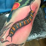 Creepy looking worm tattoo by Dan Hartley. #DanHartley #TripleSixStudios #NeoTraditional #worm #insect